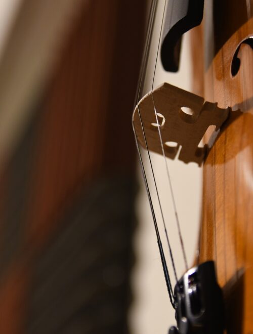 dettaglio di violino